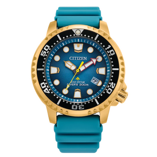 Citizen Eco-Drive Promaster Dive Watch - Turquoise